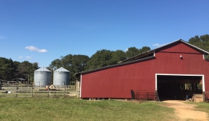 Barn photo